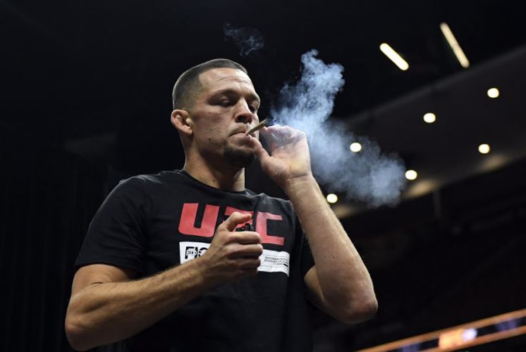 Portrait de Nate Diaz